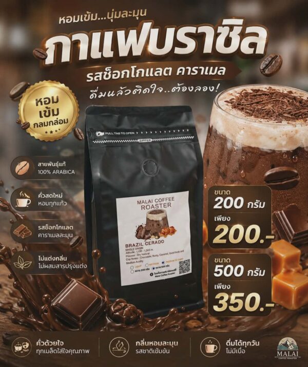เมล็ดกาแฟ Brazil Cerrado กลิ่นช็อกโกแลต คาราเมล และถั่ว ความเปรี้ยวต่ำ จาก Malai Coffee Roaster