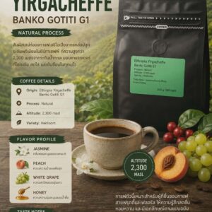 เมล็ดกาแฟ Ethiopia Yirgacheffe Banko Gotiti G1 Natural Process คั่วอ่อน กลิ่นดอกมะลิ ลูกพีช องุ่นขาว และน้ำผึ้ง