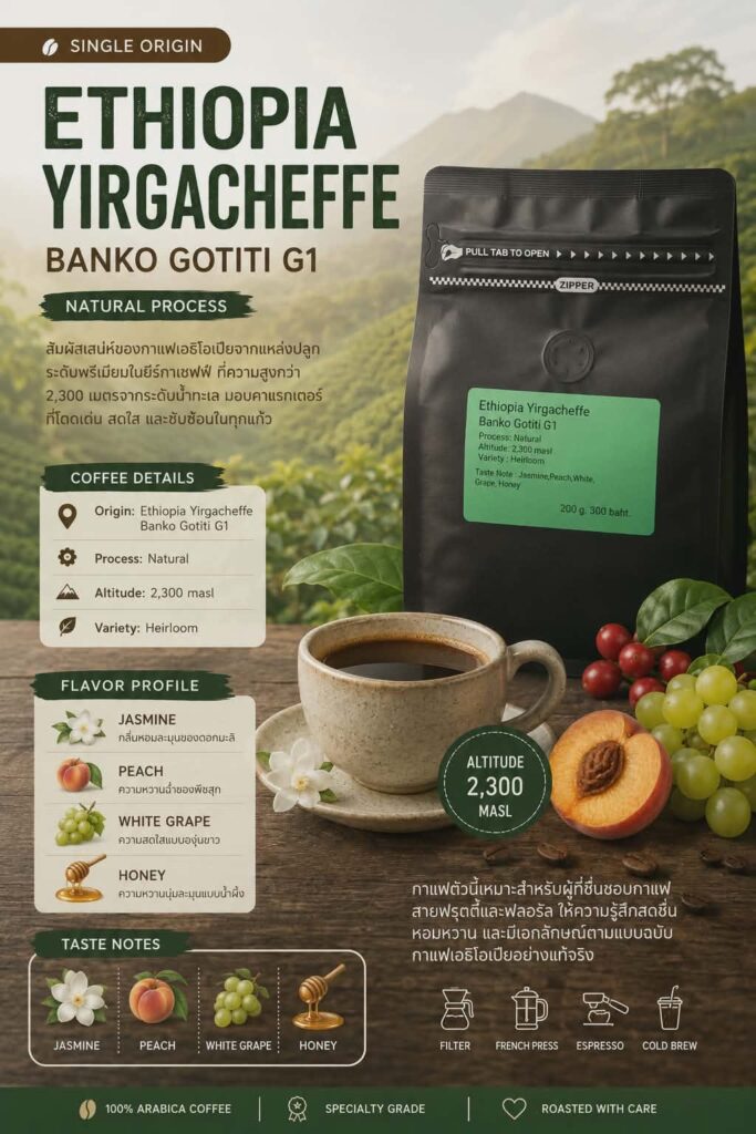 เมล็ดกาแฟ Ethiopia Yirgacheffe Banko Gotiti G1 Natural Process คั่วอ่อน กลิ่นดอกมะลิ ลูกพีช องุ่นขาว และน้ำผึ้ง
