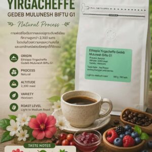เมล็ดกาแฟ Ethiopia Yirgacheffe Gedeb Mulunesh Biftu G1 Natural Process กลิ่นดอกไม้ แยมเชอร์รี และเบอร์รี