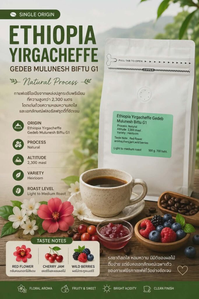 เมล็ดกาแฟ Ethiopia Yirgacheffe Gedeb Mulunesh Biftu G1 Natural Process กลิ่นดอกไม้ แยมเชอร์รี และเบอร์รี