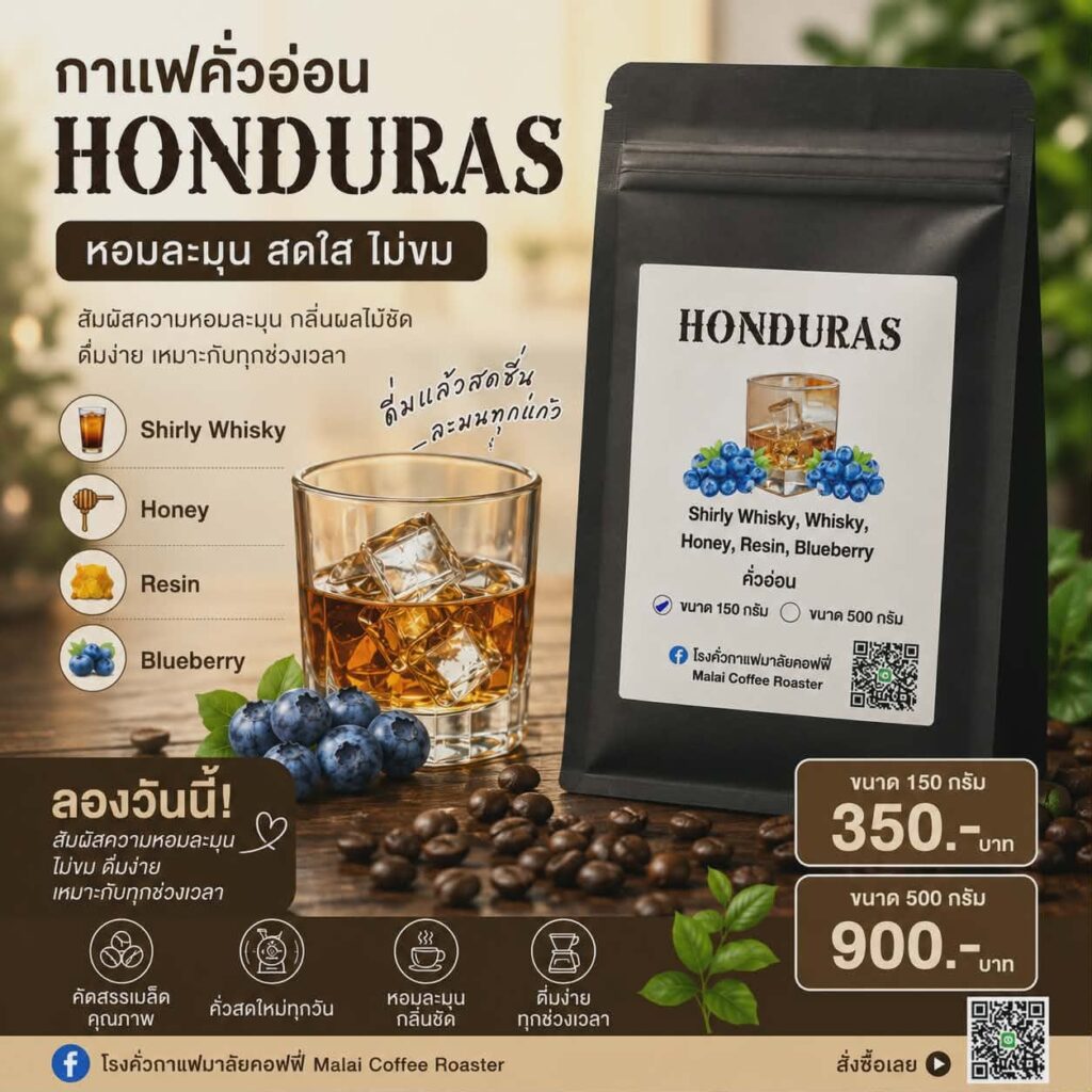 เมล็ดกาแฟ Honduras Whisky Blend คั่วอ่อน กลิ่นหอม Whisky น้ำผึ้ง เรซิน และบลูเบอร์รี่ จาก Malai Coffee Roaster