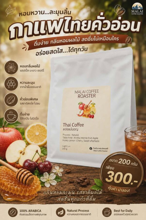 เมล็ดกาแฟไทยคั่วอ่อน กลิ่นผลไม้ แอปเปิล มะนาว เชอร์รี และน้ำผึ้ง จาก Malai Coffee Roaster