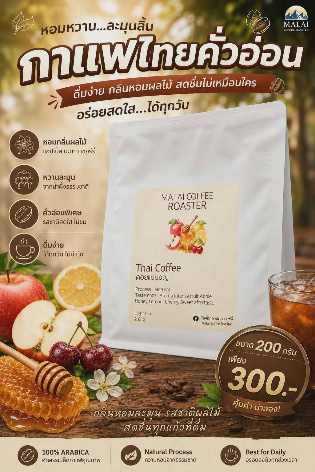 เมล็ดกาแฟไทยคั่วอ่อน กลิ่นผลไม้ แอปเปิล มะนาว เชอร์รี และน้ำผึ้ง จาก Malai Coffee Roaster